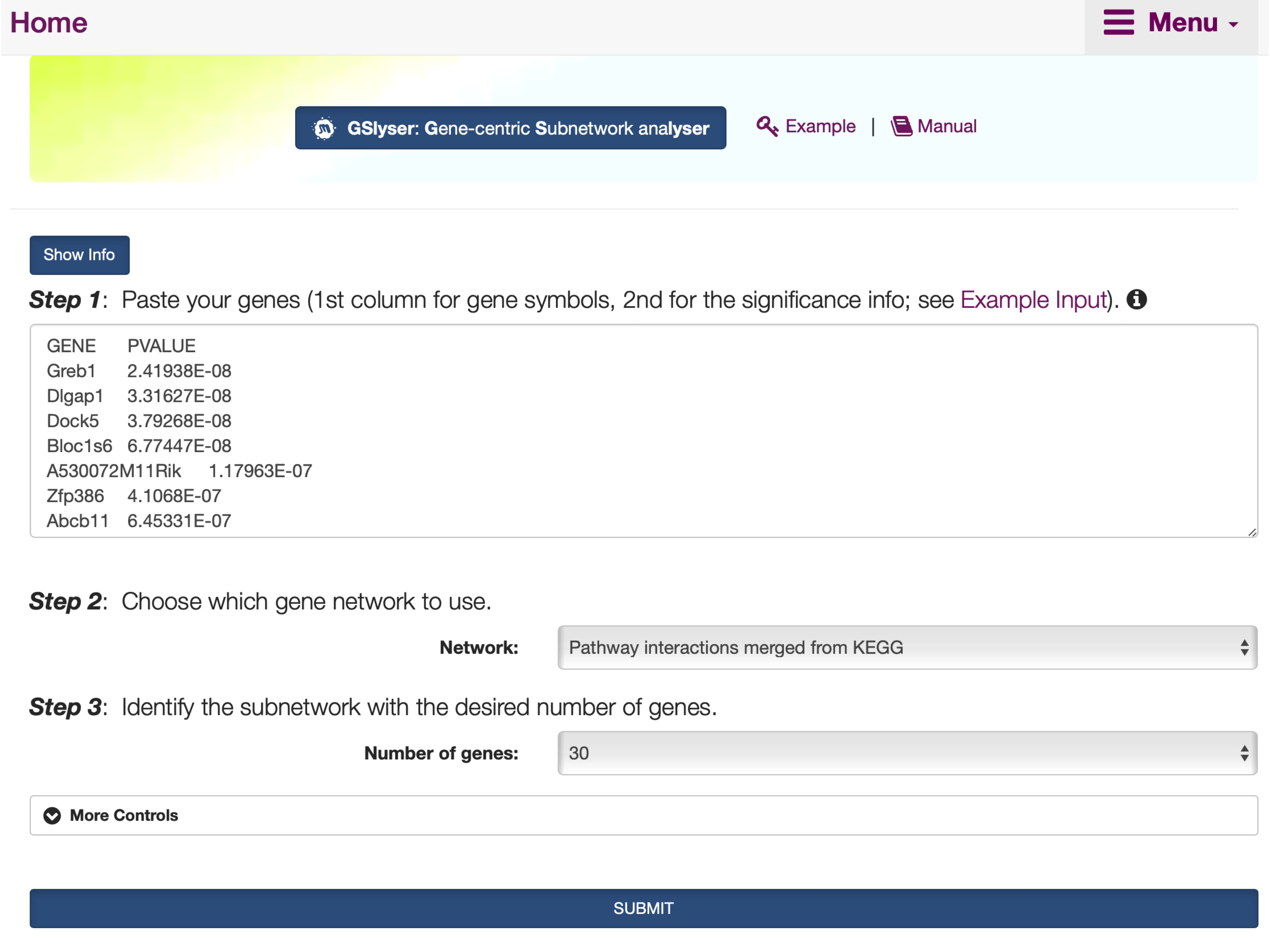The interface of `GSlyser`. The `Show/Hide Info` toggle button contains the help information on how to use it, including inputs, outputs, and other relevant information.
