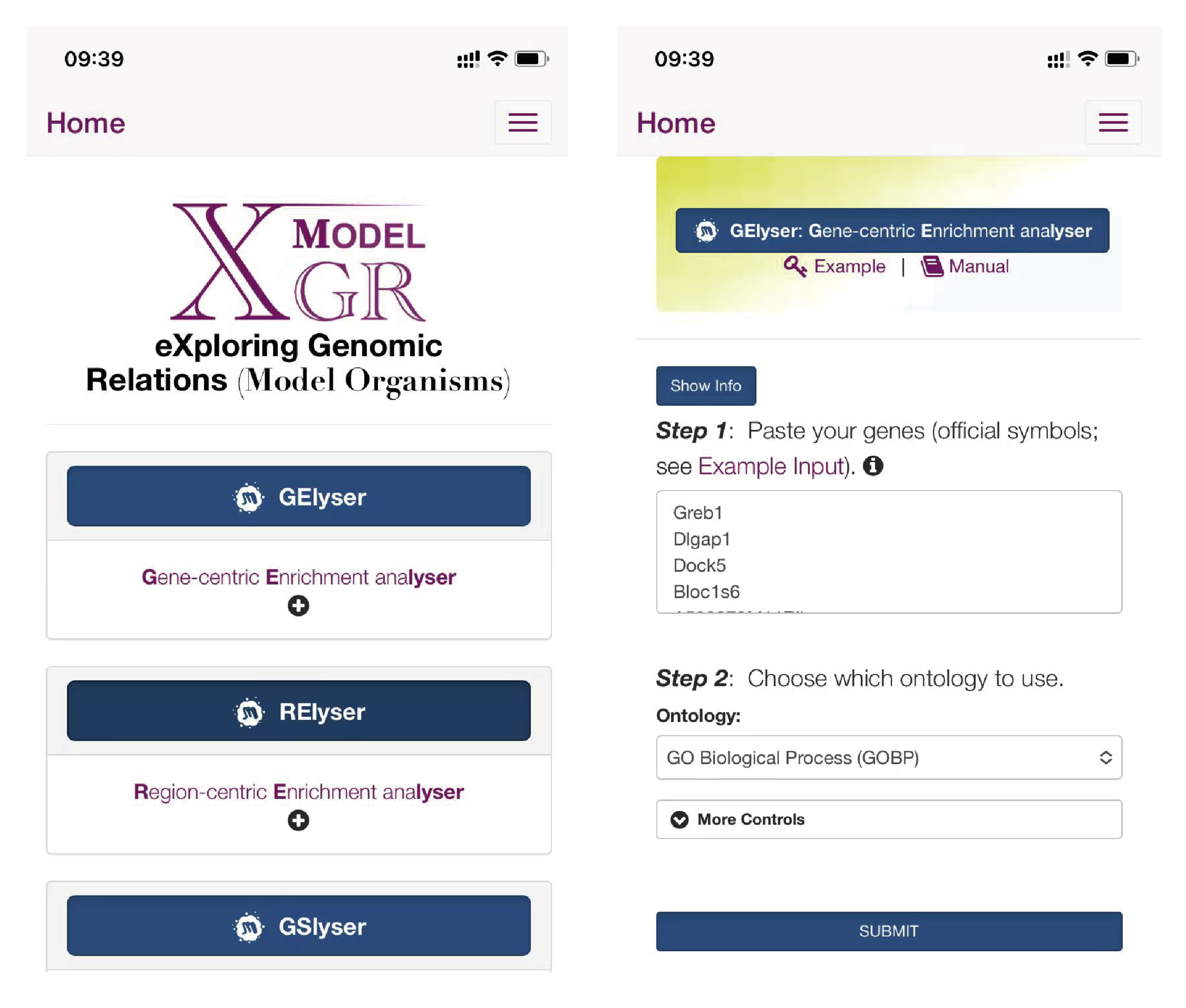 The screenshots for XGRm (iPhone). Left: the frontpage; Right: the GElyser page.